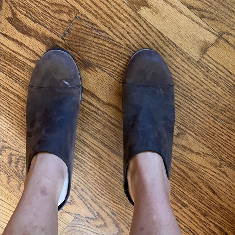 Sorrel mules